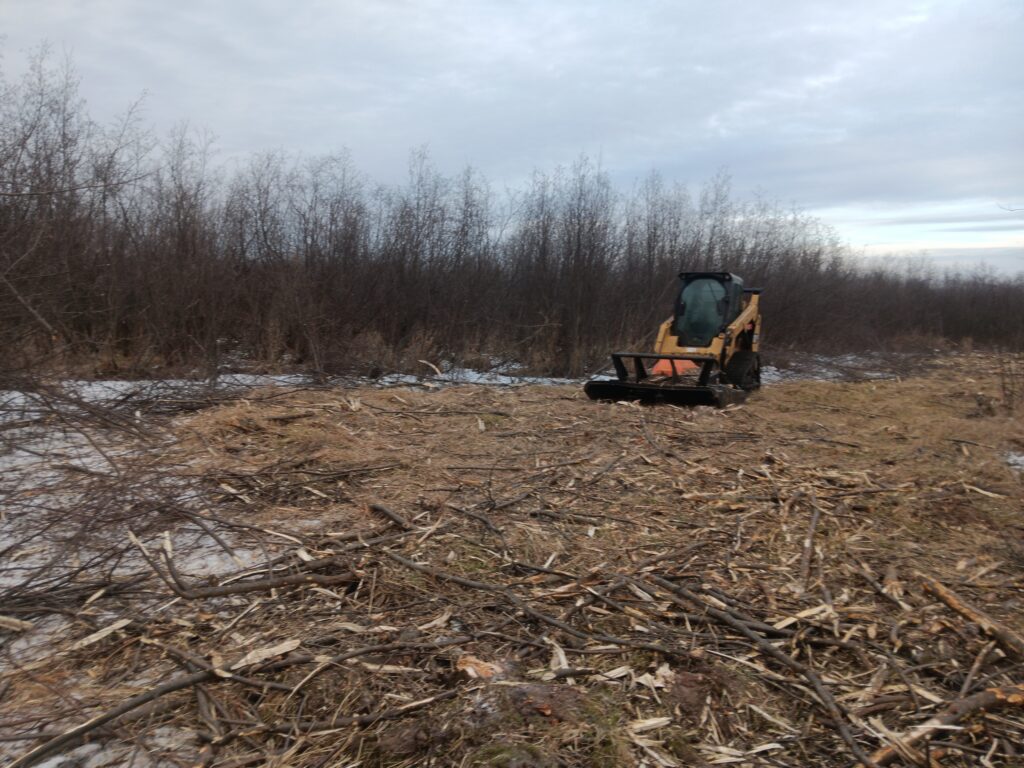 Forestry Mulching